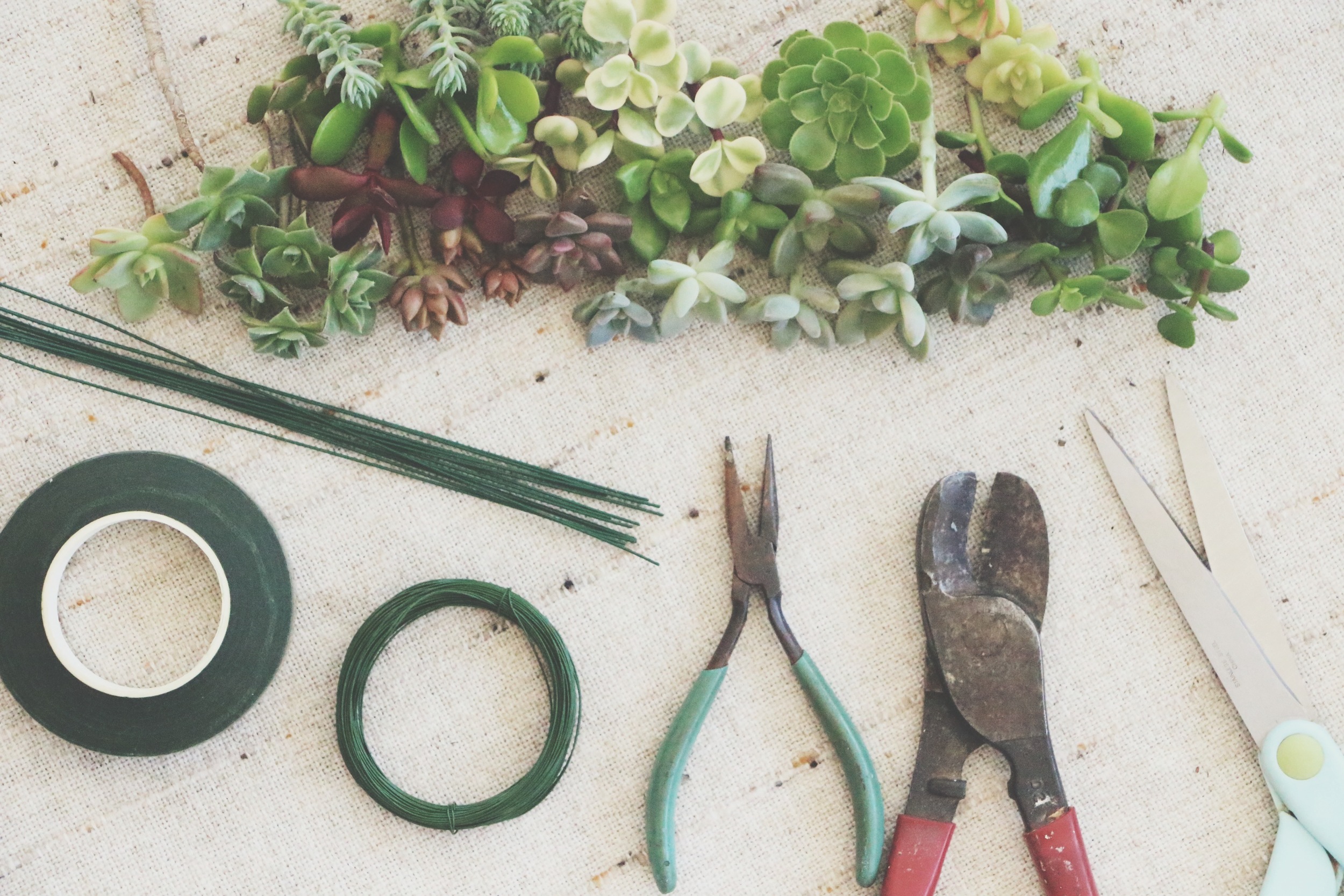 diy succulent crown project supplies